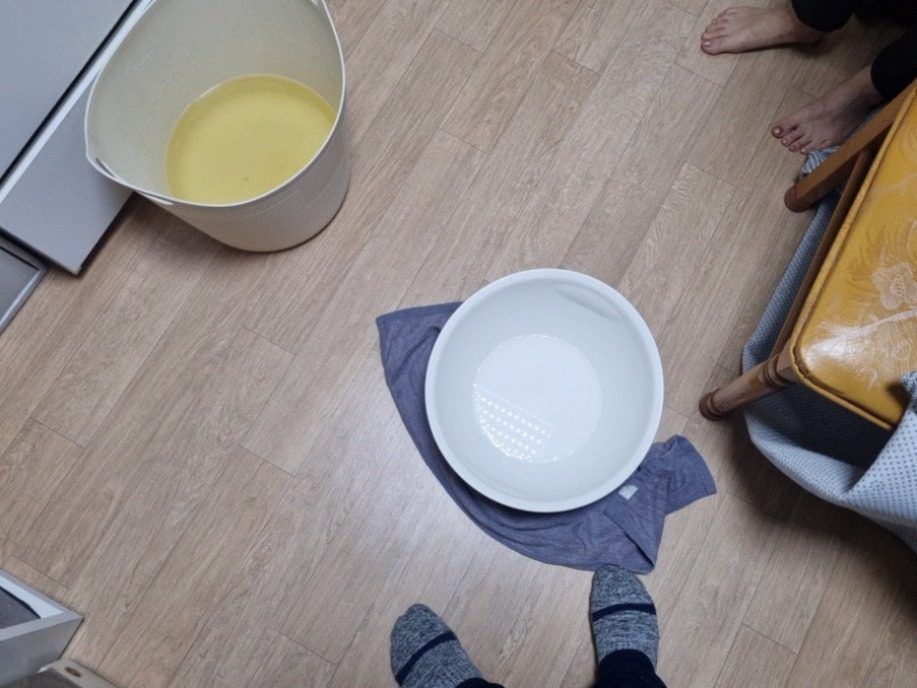 작업 전 양생·보양 — 가구와 바닥을 덮고 시작한다